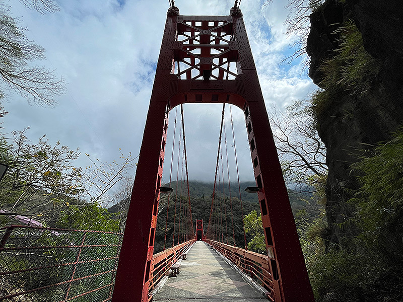 拉拉山春櫻‧巨木星語行